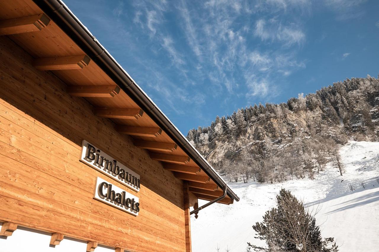 Birnbaum Chalets グロースアルル エクステリア 写真