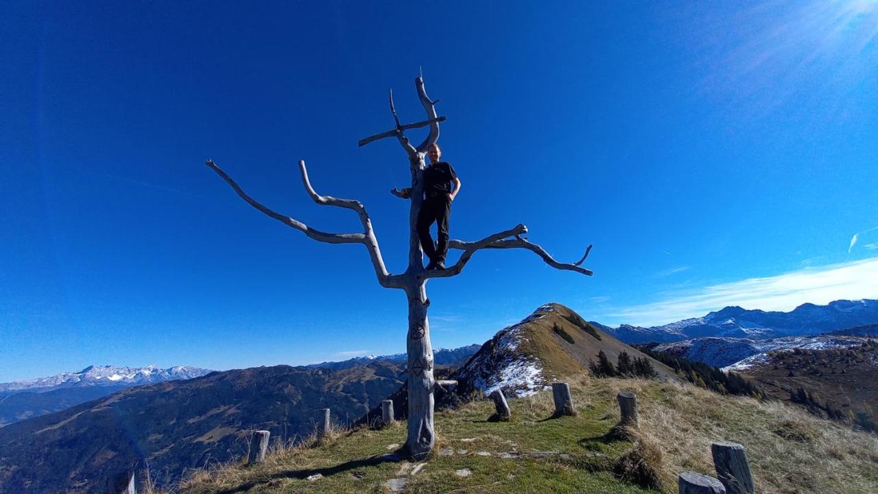 Birnbaum Chalets グロースアルル エクステリア 写真